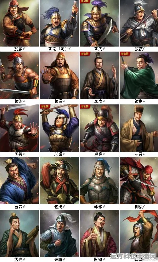 Steam三国志13轻松调中文，畅享策略盛宴