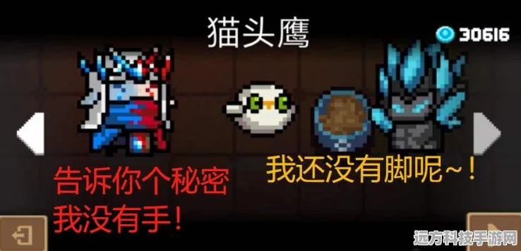 元气骑士宠物全览，解锁所有萌宠的战斗奥秘