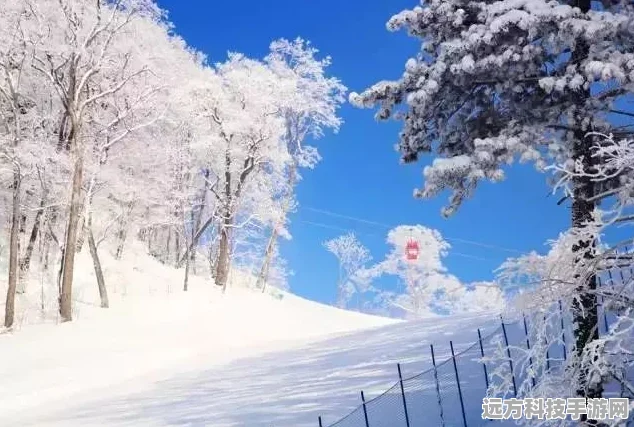 冰雪奇缘，打造你的梦幻滑雪场——我的滑雪场经营模拟下载指南