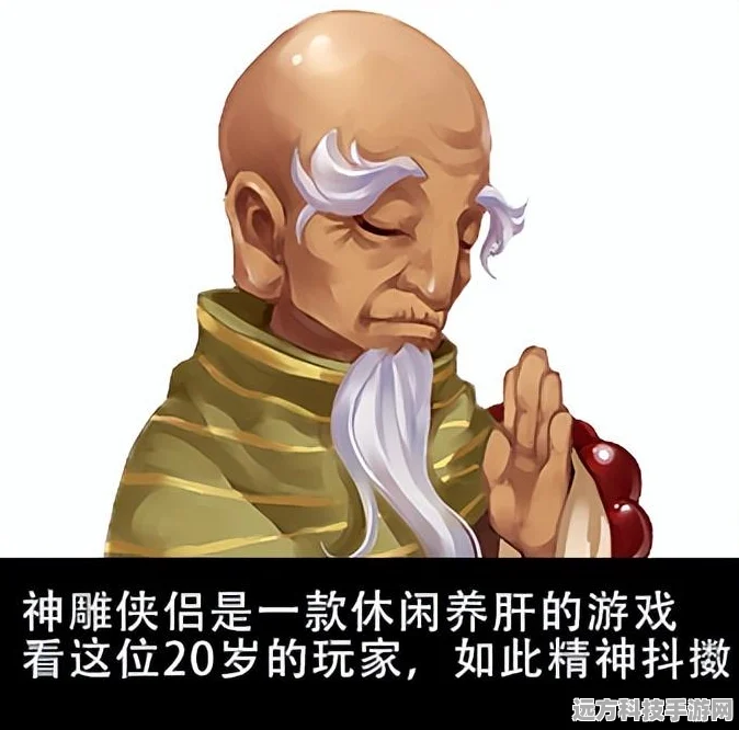 神雕侠侣宠物迷城探险，萌宠新篇章解锁悬念全揭秘