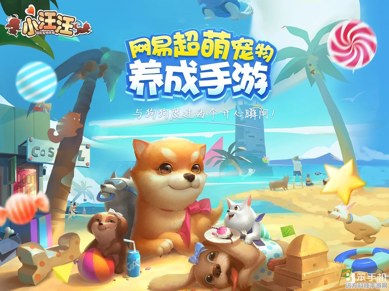 老友狗狗手游版，萌宠养成新体验，乐趣无限等你来