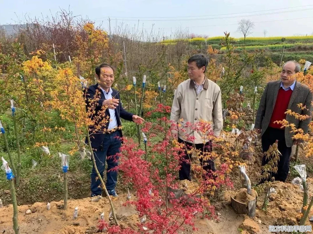 抖音月付购物受限？资深玩家为你揭秘背后原因