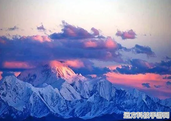 哈利波特魔法觉醒，黑湖之谜第五章通关卡组全攻略