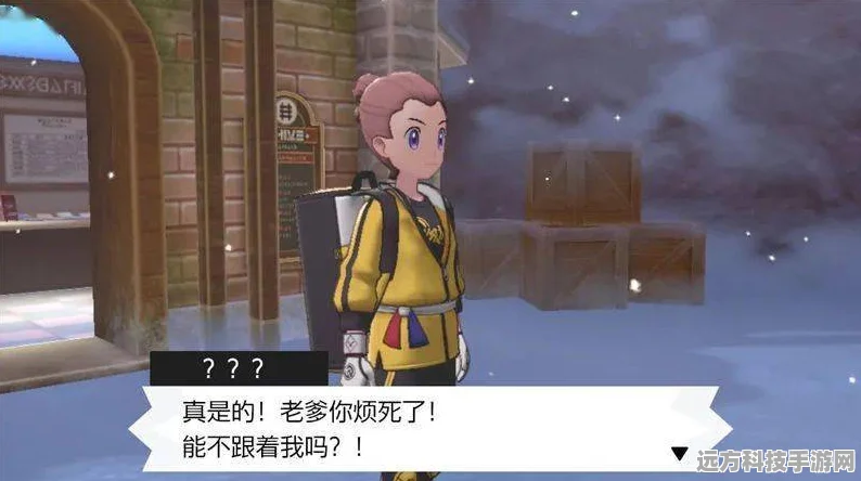宝可梦剑盾冠之雪原，极巨巢穴探险全攻略