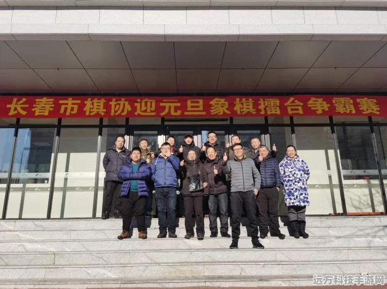 口袋妖怪3D擂台争霸，深度战术剖析与实战宝典