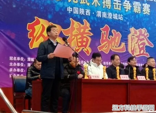 口袋妖怪3D擂台争霸，深度战术剖析与实战宝典