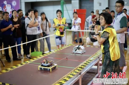 口袋妖怪3D擂台争霸，深度战术剖析与实战宝典