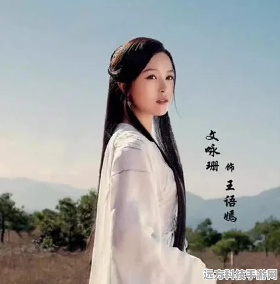 仙境传说RO手游，挑战阵容搭配全解析