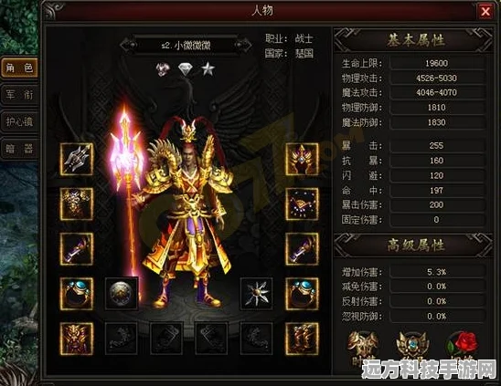 皇图战士技能全解析，实战技巧与战力提升秘籍
