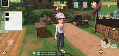 小森生活雪松树刷新全攻略，揭秘时间与地点