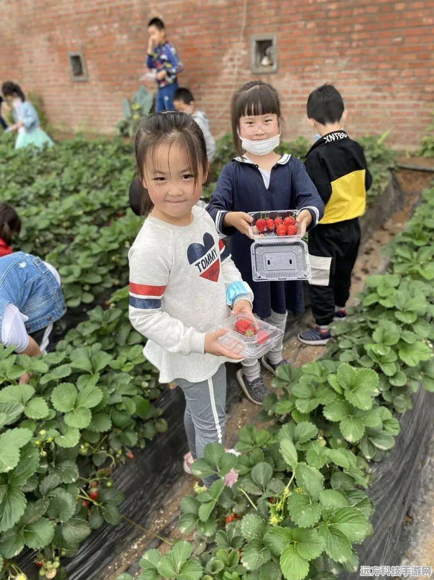PararecordsSteam页面震撼开启，冒险之旅即刻启程！