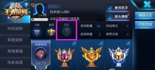 王者荣耀段位全揭秘，图标汇总与晋升之路