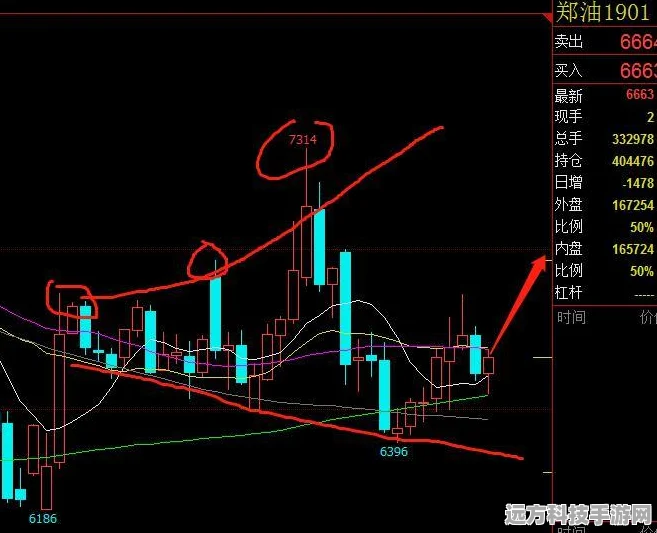 魔兽世界7，恶魔猎手阵营选择全攻略