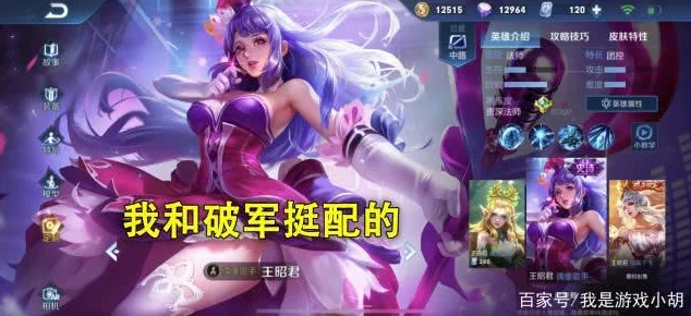 王者荣耀法师分类与实战威力深度解析