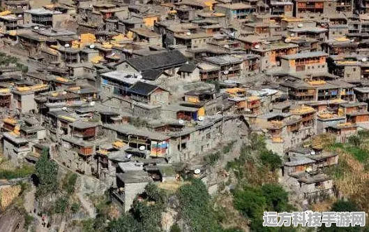 第五人格祭司动作全攻略，解锁独特魅力，掌握获取秘籍