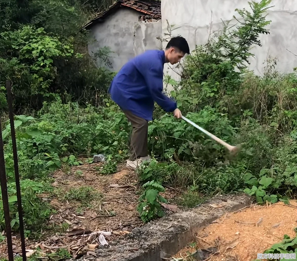 疯狂梗传挑战升级！发火丈母娘通关秘籍全公开