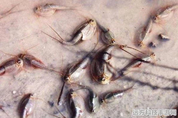 我的世界恐龙孵化全攻略，打造你的史前世界
