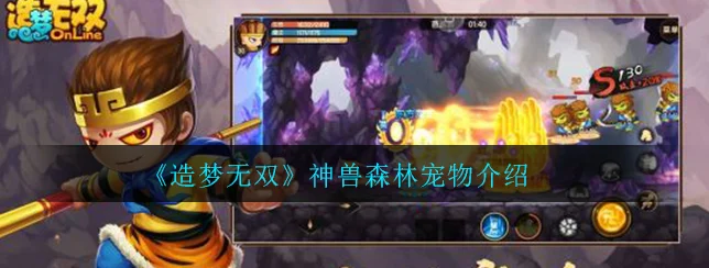 探秘造梦无双神兽森林，解锁珍稀宠物之旅