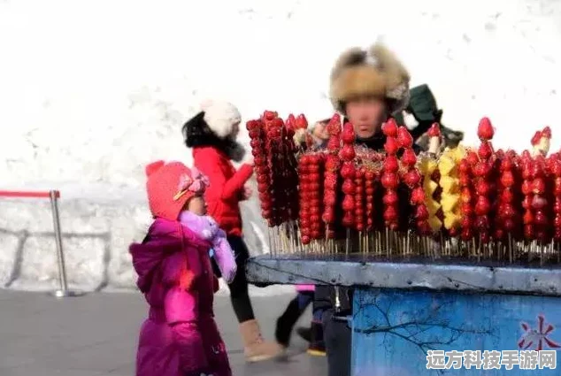 口袋妖怪火红完美版，重温经典，攻略图文助你称霸关东