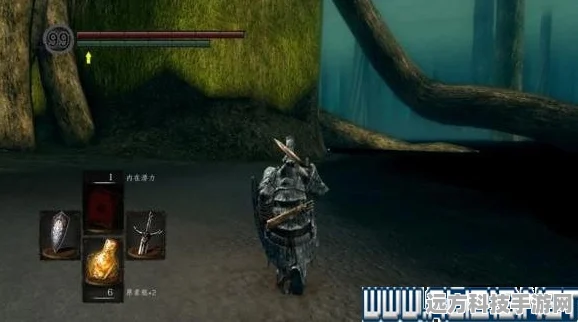 黑暗之魂重制版灰烬湖地图全揭秘