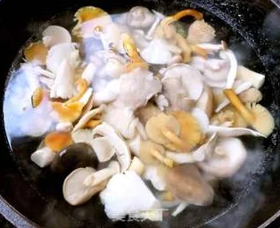 原神美食探索，杂菇荟萃制作秘籍，解锁味蕾新体验