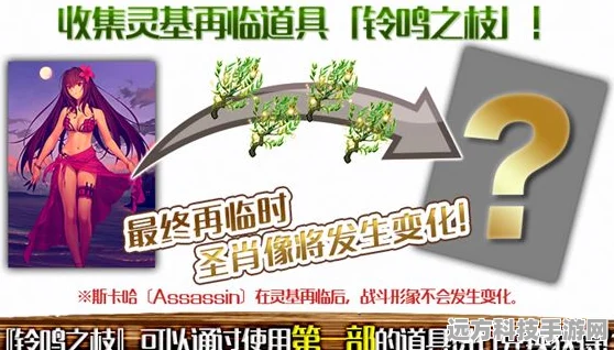 FGO铃鸣之枝获取与兑换全攻略，资深玩家必备指南