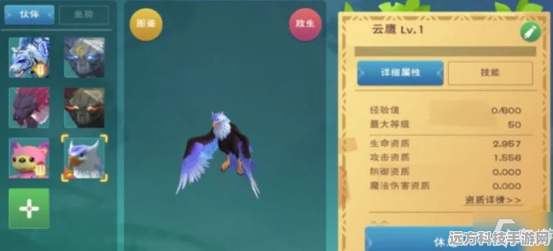 创造与魔法，揭秘北境犀鸟饲料制作，驯服天空之灵的秘籍