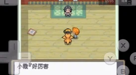 口袋妖怪魂银，顶尖精灵养成指南