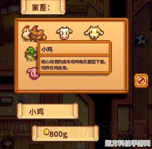 星露谷物语，鸡鸭兔养殖大比拼，哪个才是你的心头好？