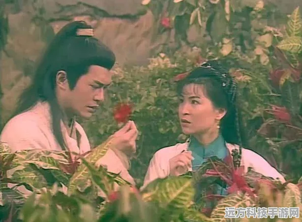 情花深处，侠侣同行 ——神雕侠侣情花阵探秘之旅