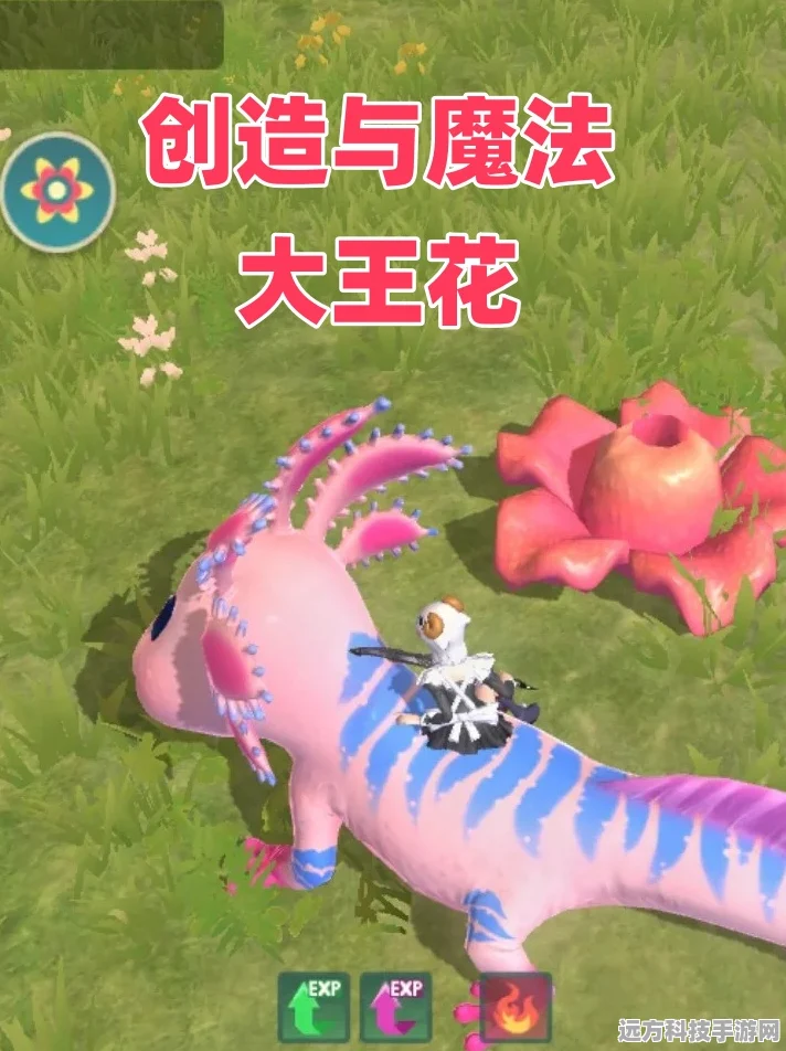 大王花之谜，揭秘创造与魔法秘境宝藏之旅