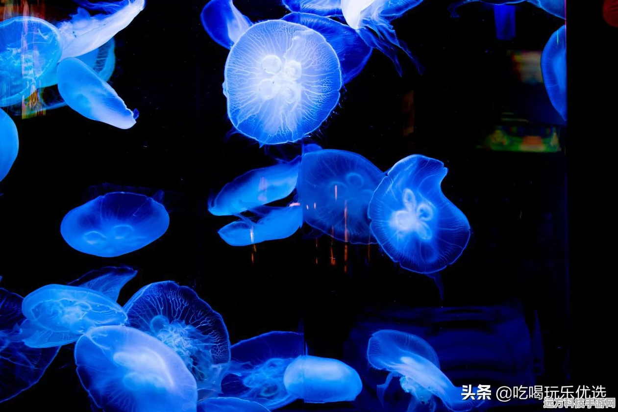 迷你世界新探索，美人鱼教程大揭秘，打造梦幻海底王国