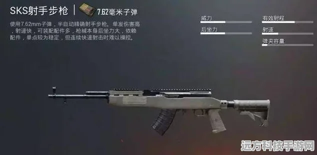SKS射手步枪握把选择全攻略，精准射击从此不再是梦