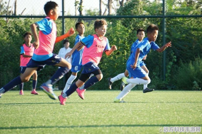 和平精英观战功能全解析，轻松掌握观战技巧