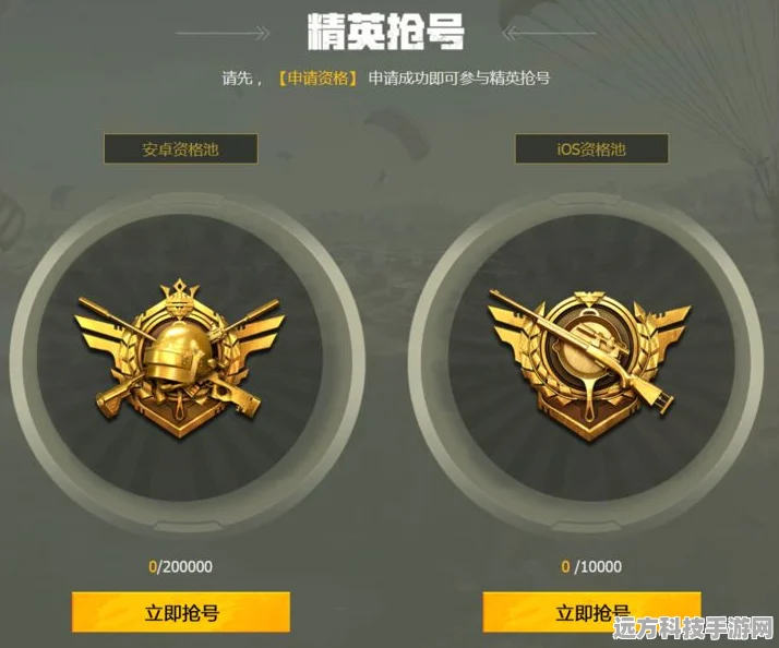 和平精英特种兵印记全攻略，荣耀解锁，征服无畏战场！
