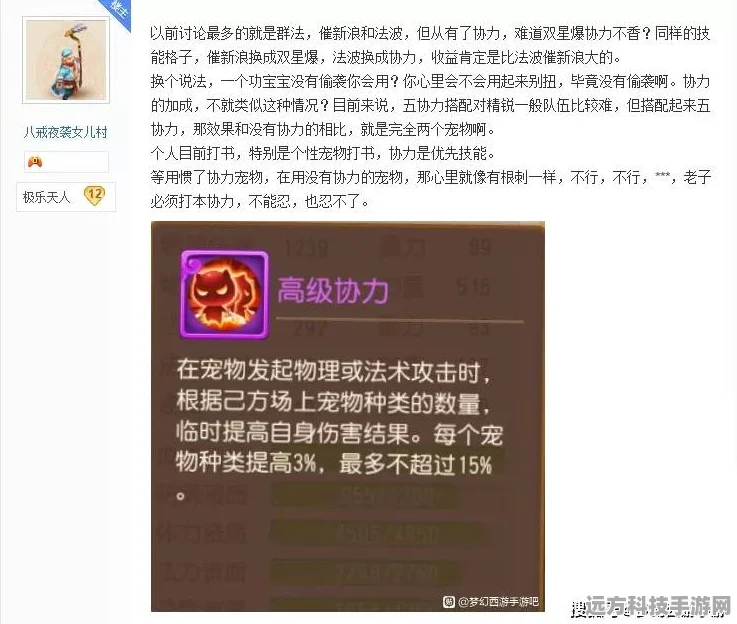 梦幻西游，魔力转化法伤全揭秘，解锁角色战力提升新篇章