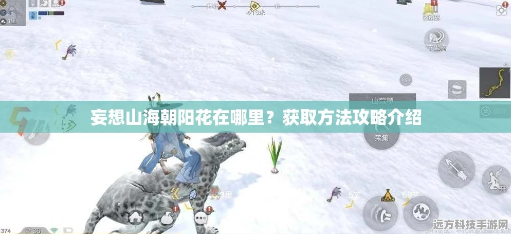 妄想山海朝阳花获取全攻略，解锁珍稀花卉的奥秘