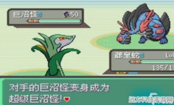口袋妖怪绿宝石二周目，深度攻略与探险之旅重启