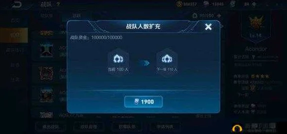 王者荣耀，揭秘加入战队带来的非凡游戏体验