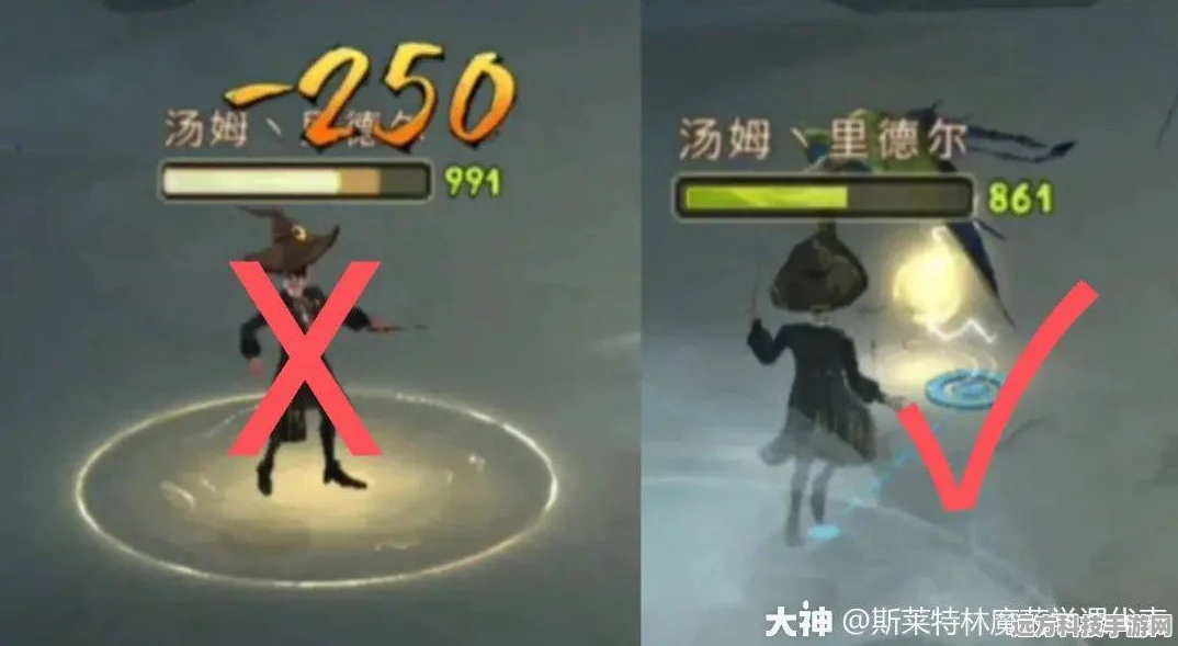 哈利波特魔法觉醒，揭秘龙心弦魔杖归属与攻略秘籍