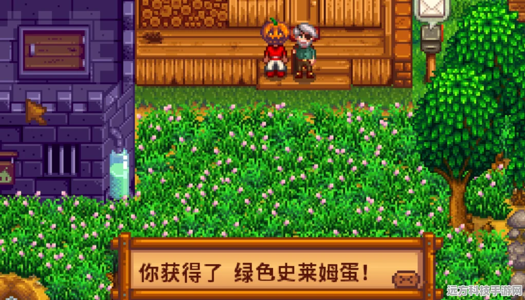 星露谷物语，揭秘史莱姆蛋的获取与孵化奥秘