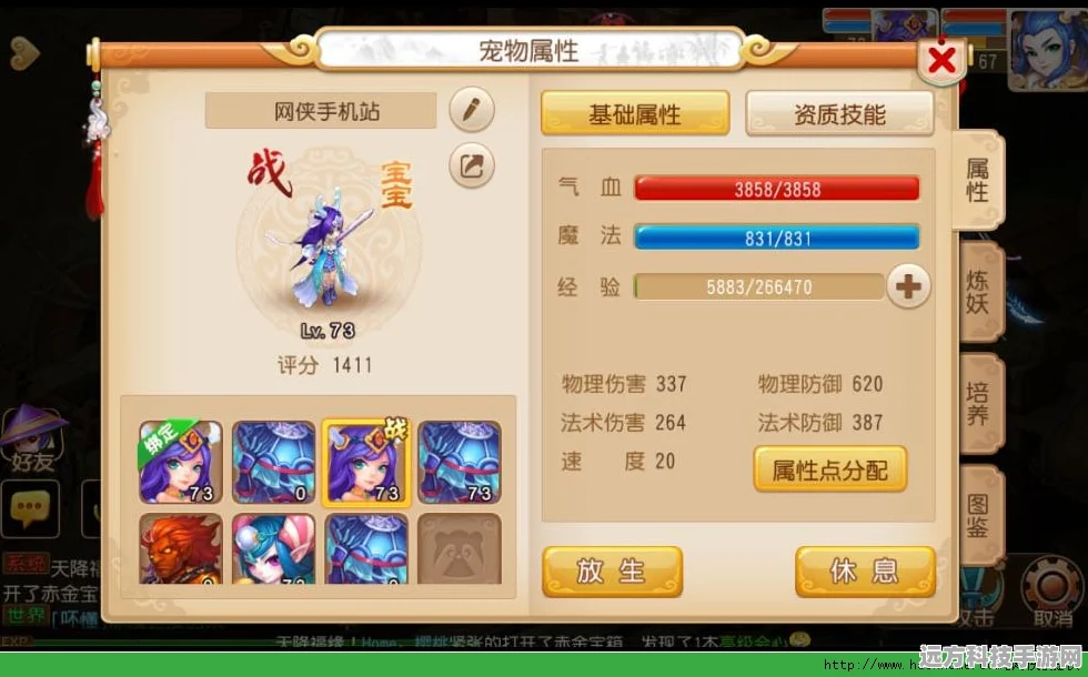 梦幻西游手游宠物乐园，全面攻略与玩法深度分享
