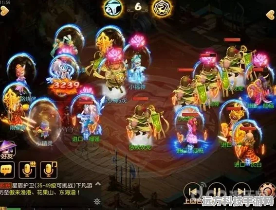 梦幻西游手游宠物乐园，全面攻略与玩法深度分享