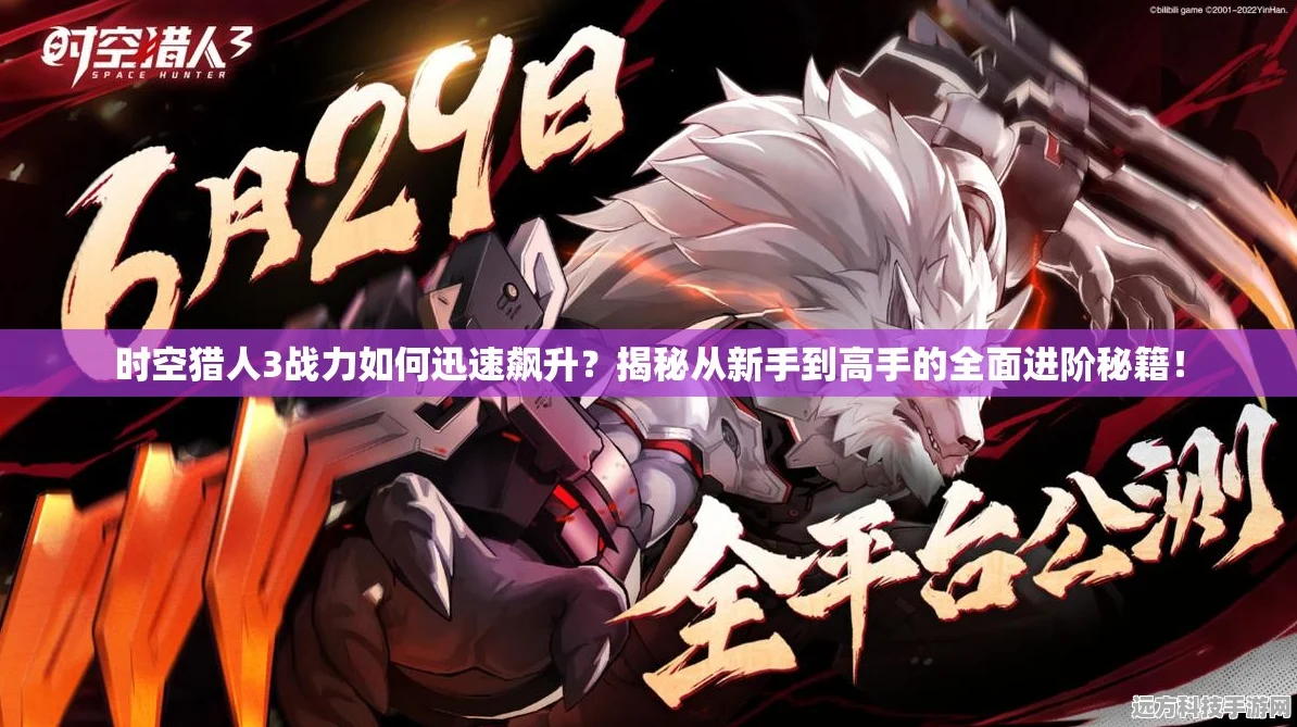 时空猎人3星核深度解析，解锁战力飙升的秘密