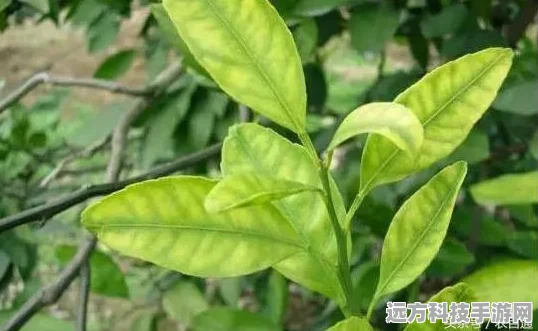 迷你世界，淡绿玻璃灯合成秘籍大公开