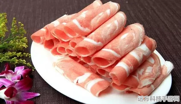 宝可梦剑盾图鉴深度揭秘，小炭仔的炽热魅力与战斗策略