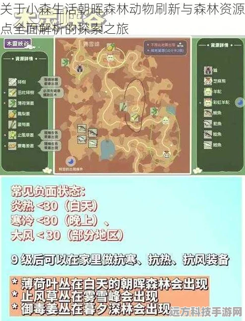 小森生活暮夕森林，资源分布全揭秘