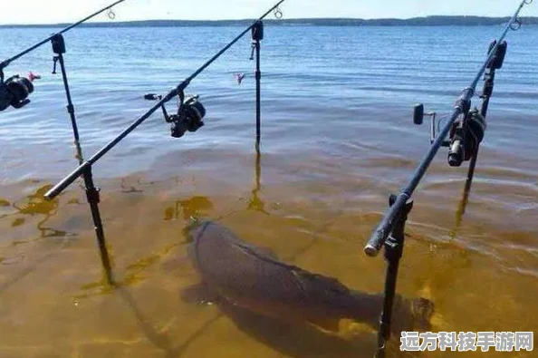 心动小镇，解锁金鱼钓鱼秘籍，尽享悠然垂钓之乐