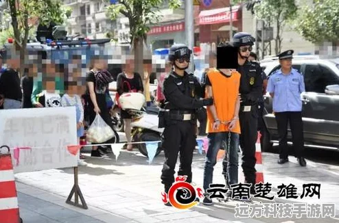 FC勇者斗恶龙全攻略，技巧与策略助你征服邪恶