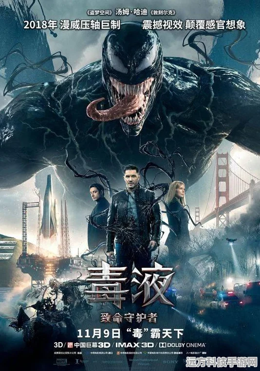 重温经典，与汤姆猫共舞——我的汤姆猫2正式版下载指南
